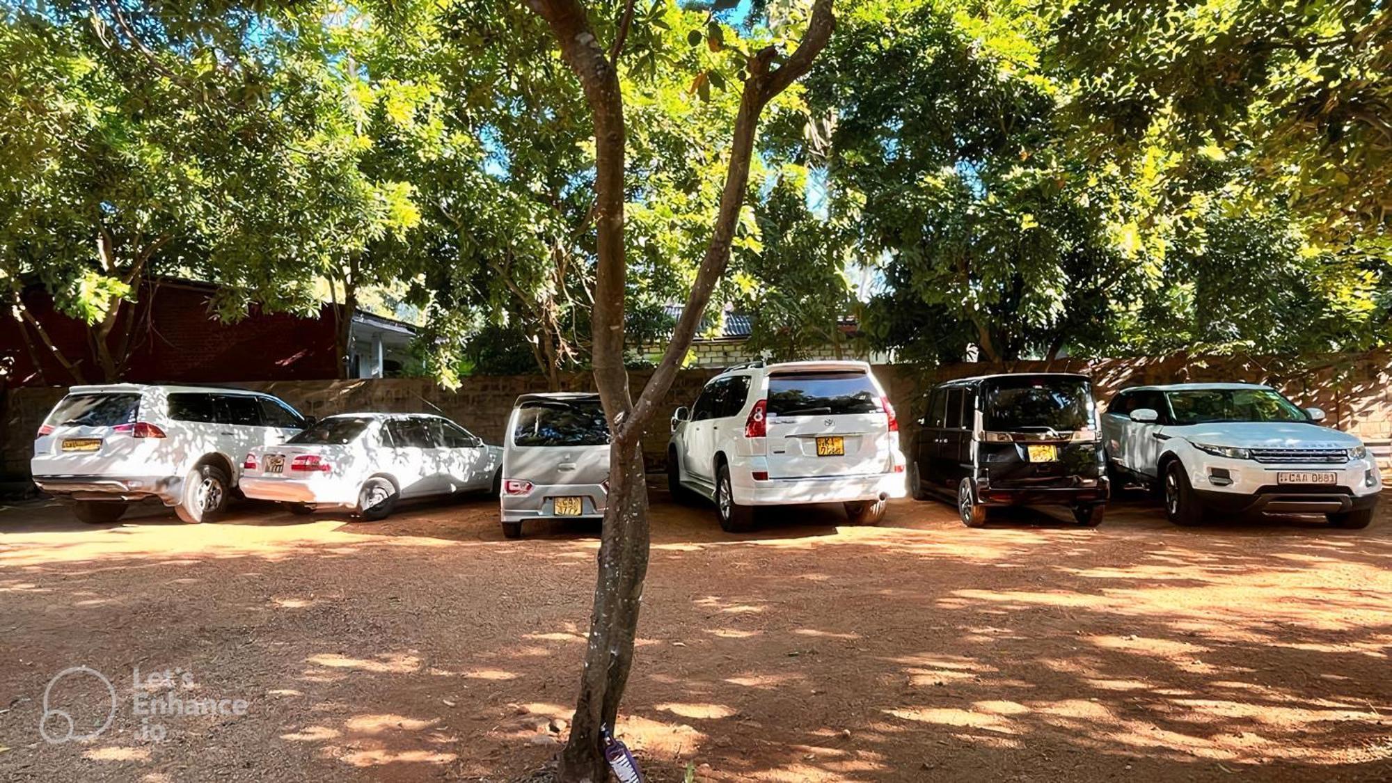 Honey Tree Polonnaruwa Hotel Luaran gambar